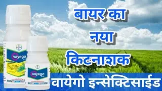 बायर का नया किटनाशक/vayego insecticide/bayer crop science