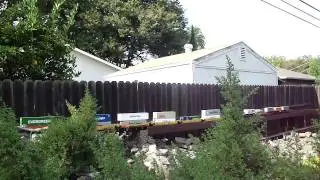 Western Pacific Heritage unit and container train