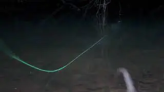 Chasing Pennsylvania Natives - Fly Fishing