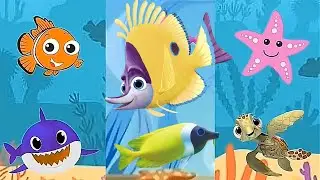 Baby Shark kids video | Baby Shark Dance Song with Animals Sea Dolphin octopus colors fish