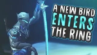 [Overwatch] New Bird, Who This?