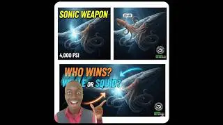 Sperm Whale vs Giant Squid: The 236dB Sonic Weapon!