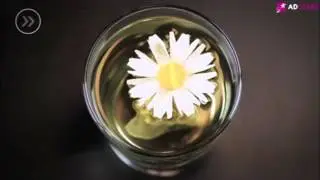 [AD STARS 2015 Winner] Flowering Tea Bags(Germany)