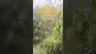 Relaxing rain for Meditation, Sleeping, Healing insomnia and anxiety.