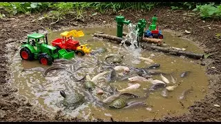 Mud Pond Drained by Mini Tractor & Pump | Shocking Amount of Fish Caught