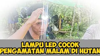 Tips Penerangan Saat Pengamatan Malam Hari Di Hutan