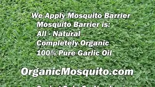 Mosquito Sprays Wilmington