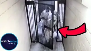 10 Fugas de Pris&atilde;o Capturadas por C&acirc;meras