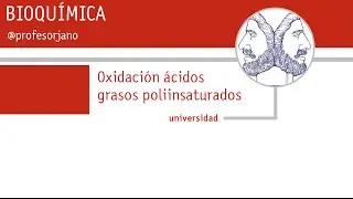 OXIDACIÓN ACIDOS GRASOS INSATURADOS YT