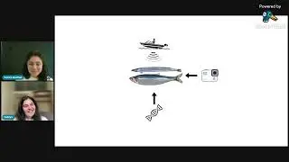 Fishing for answers: Journey into Seabird research