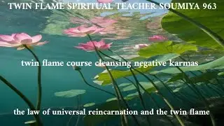 TWIN FLAME SPIRITUAL TEACHER SOUMIYA 963 | the law of reincarnation and the twin flame