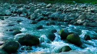 Block Out Noisy Neighbors | 10 Hours of Loud River White Noise