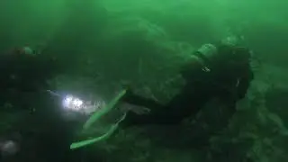 Galway dive 2020