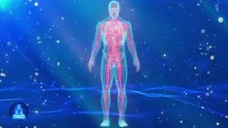 432Hz + 528Hz Water Healing for Heart & Blood Pressure | Deep Relaxation & DNA Repair Music