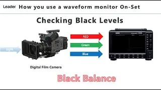 Leader Scopes  On Set Production Guide setting up Camera Black Balance