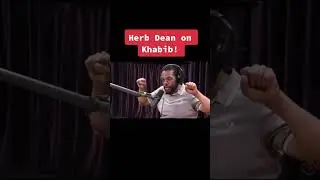 Herb dean on khabib P2
