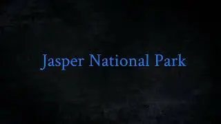 Drive Through Jasper National Park. The Largest National Park in The Canadian Rockies!