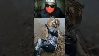 Facing the Beast: Man in Spiked Armor vs. Giant Tiger &ndash; Ultimate Survival Test! 🐯🛡️