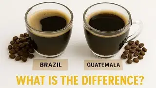 Brazilian vs Guatemalan Coffee: What is the Difference?