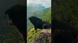 One day (3 hike complete) Ragoe, Bumdra and tiger nest 🥾⛰️🔎