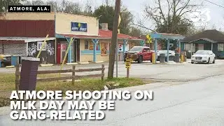 'Pure torture': Residents of Alabama city fed up with gang violence after MLK Day shooting