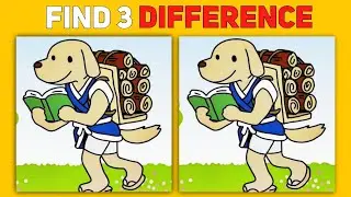 If You Can Find The Difference, You're A GENIUS!