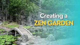 Creating a Zen Garden: Cultivating Tranquility and Balance