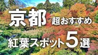 【京都観光】超おすすめ！京都の紅葉スポット5選！