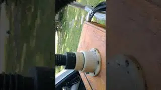 How to vacuum bees