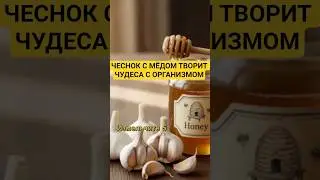 Чеснок с мёдом творит чудеса с организмом #health #honey #garlic #restoration #здоровье #healthy