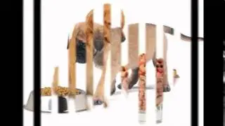 guabi natural корм для собак