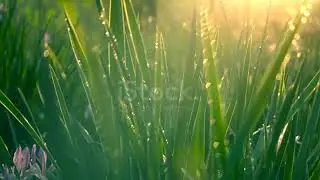 Will killen - In My Arms