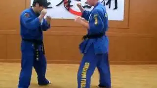(73)Gongkwon Yusul combination blow mimic (Korea jiu jitsu Hapkido)