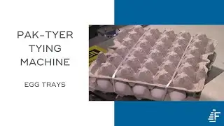 Egg Trays Bundled Using Felins Pak Tyer Tying Machine
