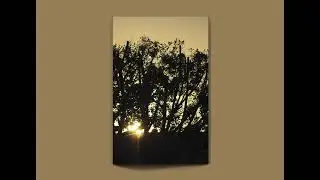 Narrative Imaging Book