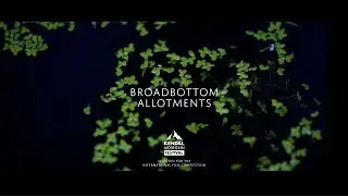 Бродботтомские участки (2020)