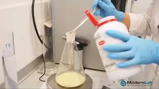 (Q&A)  Co podawać gołębiom po kuracji antybiotykowej?