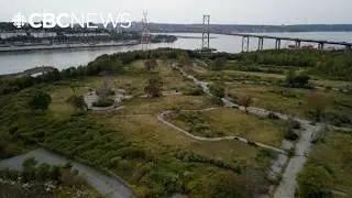 What's happening with Dartmouth's Shannon Park?