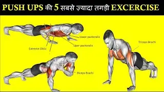 Rapid Excercise || Top 5 Push ups exercise || Pushup kaise kare | पुशअप्स कैसे लगाएं