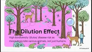 Shrinking forests are giving #mosquitoes a greater taste for human blood,  #best #health #facts 