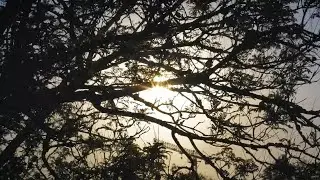 Iyan Hadix - Feel The Sun (Official Lyric Video)