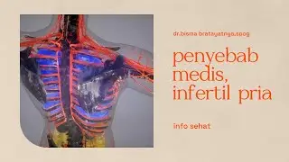 medical causes of male infertility epsode 2#infertilitaspria#medis#tipsehat#viralvideo