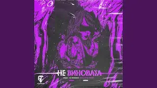Не Виновата (BasslandeR Remix)