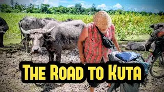 🇮🇩  DIRTY Water buffaloes & $1 Hostel 🇮🇩 Days 91