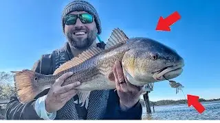 Kayak Redfish Madness: Catching BIG Winter Reds!