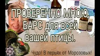 ПРОВЕРЕННО МНОЮ