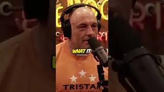 Joe Rogan Thinks Diversity Hires Couldn't Run A Ben & Jerry's Ice Cream Stand