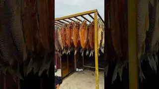 Proses pembuatan ikan asap kering #fish  #food