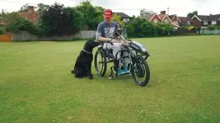 4 Paw Therapy Trailer
