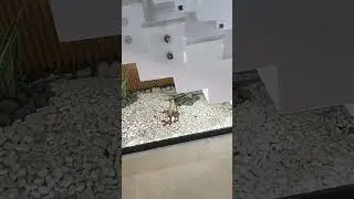 habillage,  &eacute;clairage d&eacute;coratif, sous escalier, bienvenue, 0700489898